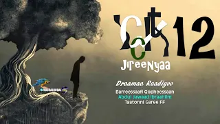 Icciitii Jireenyaa Kutaa 12ffaa 