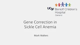 Gene Correction in Sickle Cell Anemia - Mark Walters