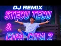 Download Lagu DJ Stecu Tecu \u0026 pica pica 2 | Remix Viral TikTok Timur 2025 #music #lagutimur #lagujawa 