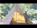 When the Lights Come On in the Autumn Forest｜Camping with My Dog ASMR