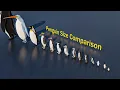 Penguin Size Comparison