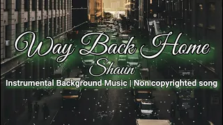 Download Shaun - Way back home | Instrumental song MP3