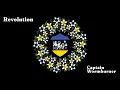 Revolution - Folktronica Electronic Rock - Captain Wormburner