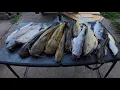 Catfishing on Lake Lanier