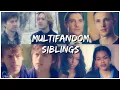 Multifandom Siblings - Everything That Had Gone Wrong In My Life Was His Fault
