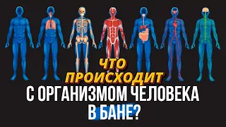 ЧТО ПРОИСХОДИТ С ОРГАНИЗМОМ ЧЕЛОВЕКА В БАНЕ Как баня влияет на здоровье 
