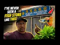 OCEAN AQUARIUM SAN FRANCISCO TOUR I ve NEVER Seen a Fish Store Like This