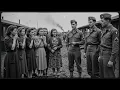 Download Lagu German Women POWs After WWII Were Stunned by the Handsome Men of America