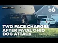 Two people facing involuntary manslaughter after deadly dog attack in Pickaway County Ohio