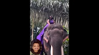 المقاطع المضحكه اللي هتخليك مبسوط طول اليوم دندنها