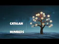 Catalan Numbers Explained Visually Hidden Patterns in Math