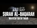 Download Lagu Surah Al Baqarah سورة البقرة Dengan Suara Indah Membuat Hati Tenang