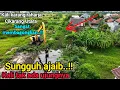 Download Lagu GILA PARAH KALI KOK GAK ADA UJUNGNYA❗️EXCAVATOR TERPAKSA BUAT KALI YANG BARU UNTUK NGALIRI KE HILIR
