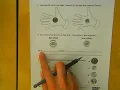 Eureka Math - 1st Grade