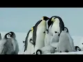 LISTEN TO YOUR HEART ~ Mike Rowland, Film by Ruedi & Priska Abbühl