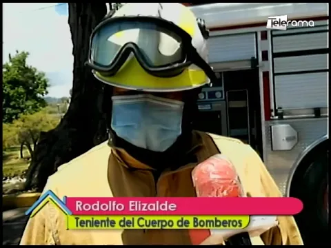 Un árbol cae sobre la margen del río Tomebamba
