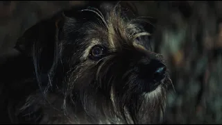Imminence - If Not Now, When (Official Music Video)