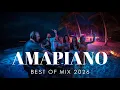 Lagu BEST OF AMAPIANO MIX | NEW JOURNEY FEBRUARY 2026 | TROPICAL VIBES | LETS DANCE TOGETHER