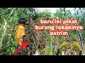 Download Lagu mikat  burung remetuk laut  di depan rumah langsung  poin