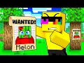 Download Lagu Melon is A WANTED CRIMINAL in Minecraft!