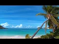 Purple Beach by Giants' Nest - Chillin' in Paradise Vol. 1