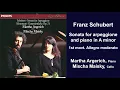Download Lagu Franz Schubert: Sonata for arpeggione and piano in A minor - I. Allegro moderato