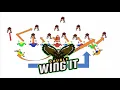 Double Wing Offense explained with drills For Practice