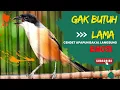 Download Lagu MASTERAN CENDET TERBAIK MATERI FULL TEMBAKAN PALING DI CARI