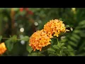 Download Lagu Lagu Nostalgia Terbaik Bikin Hati Adem Lagu Lawas Sedih Penuh Kenangan Terbaik Sepanjang Masa