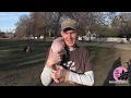 Why Are So Many Mini Pigs Abandoned - The Ugly Truth