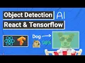 Image Recognition AI App w REACT JS and TENSORFLOW JS Beginners Javascript AI