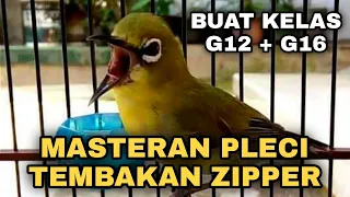 Download MASTERAN PLECI TEMBAKAN ZIPPER PANJANG || BUAT KELAS G12 - G 16 MP3