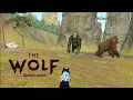 Download Lagu the wolf - KingKong Champion 😁❗