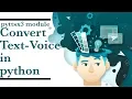 Convert Text to Speech in Python How to convert text to speech using python pyttsx python 3