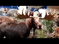 Trip to Sportsman s Warehouse