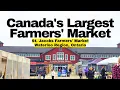 Exploring St Jacobs Farmers Market Walkthrough Tour Waterloo Region Ontario Canada 4K