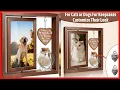 Dog Memorial Gifts Elegant Rotating Wooden Frame with Fur Hair Keepsake Jar