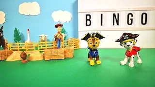 bingo dog song bingo english nursery rhyme for kids