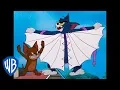 Download Lagu Tom \u0026 Jerry | Tom the Cat or Tom the Bird | WB Kids