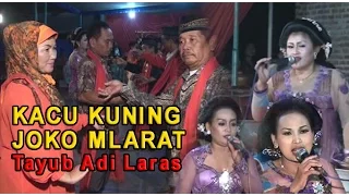 Download Gendhing Tayub KACU KUNING, JOKO MLARAT Adi Laras MP3