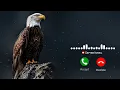 Attitude Ringtone Hindi Ringtone New Song Ringtone Mobile Phone Ringtone Love Ringtone New Ringtone