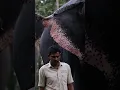 https://www.facebook.com/share/r/19QzKDWsCp/