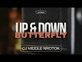 Lagu UP \u0026 DOWN X BUTTERFLY - DJ INDAH OFFICIAL