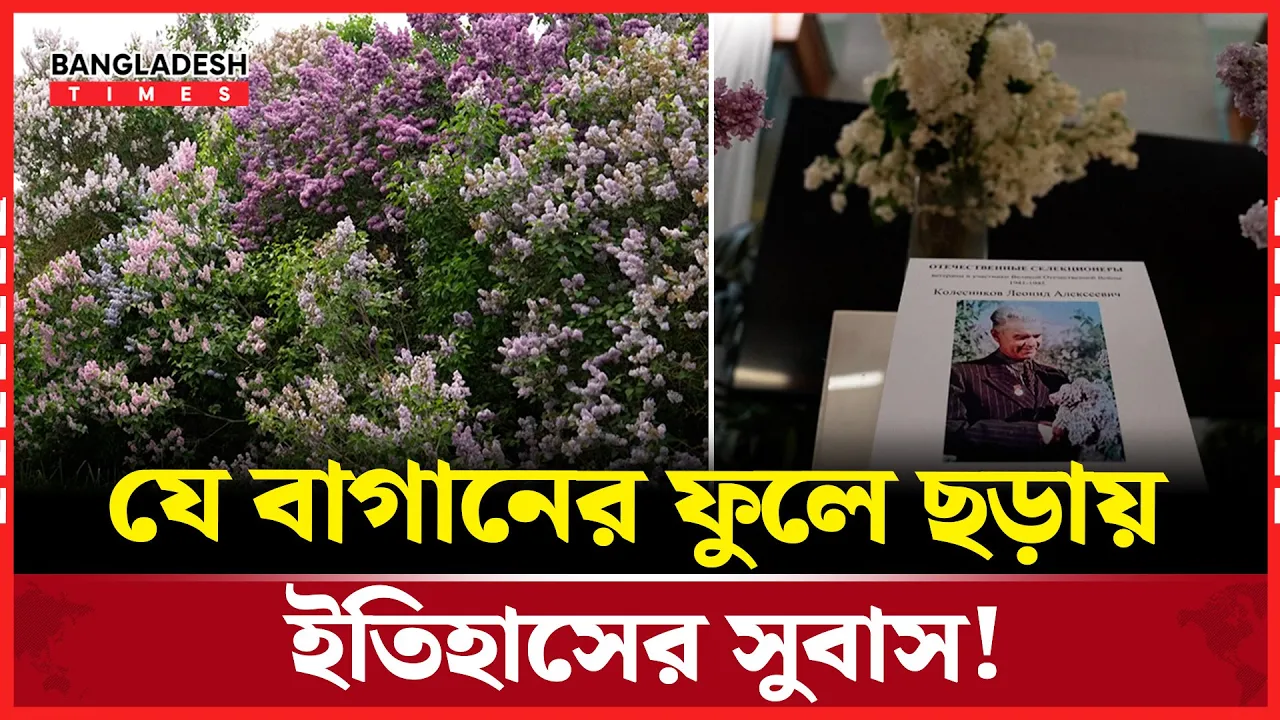 মস্কোর ‘লিলাক গার্ডেন’, যেখানে ফুল ফোটে ইতিহাসের সুবাসে!