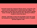 Transgender Pregnancy Epi 04