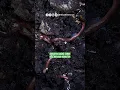 Download Lagu cacing tanah itu ga baik untuk media tanam?