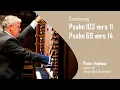 Download Lagu Samenzang | Psalm 103 \u0026 Psalm 69 | Pieter Heykoop