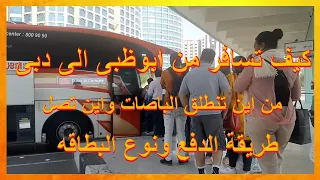                                              دندنها