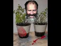 What happens when you mix Christopher Sumbs with pots