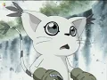 Download Lagu Tailmon's Miracle early in digimon 02